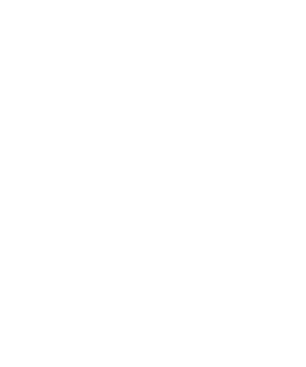 CYBER-ESSENTIALS-PLUS-WHITE